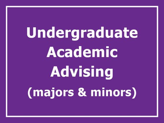 Click to schedule undergraduate academic advising appointment