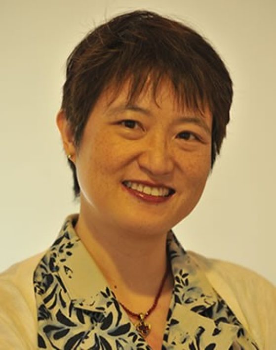 Professor Ann Chih Lin